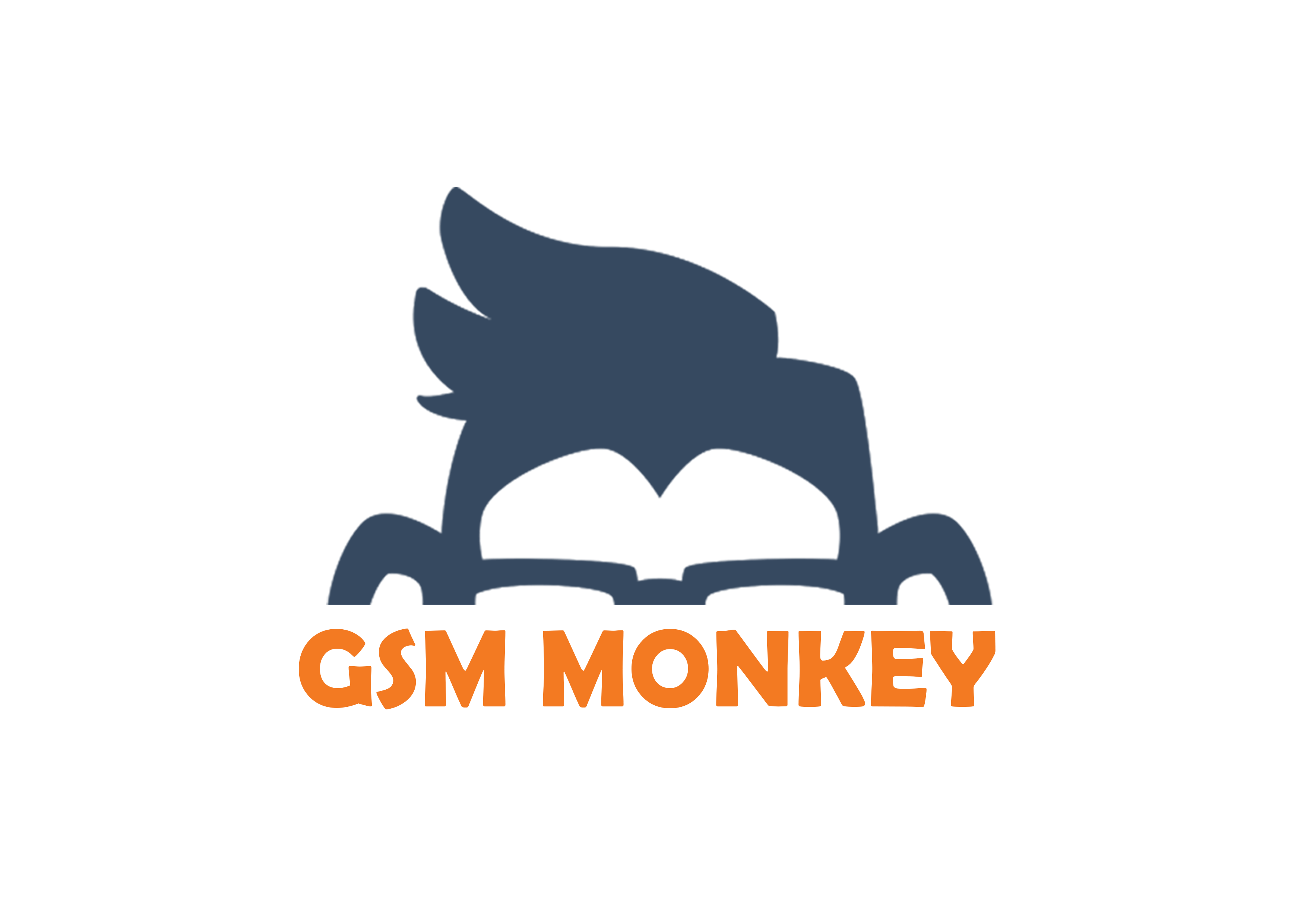 GSM Monkey